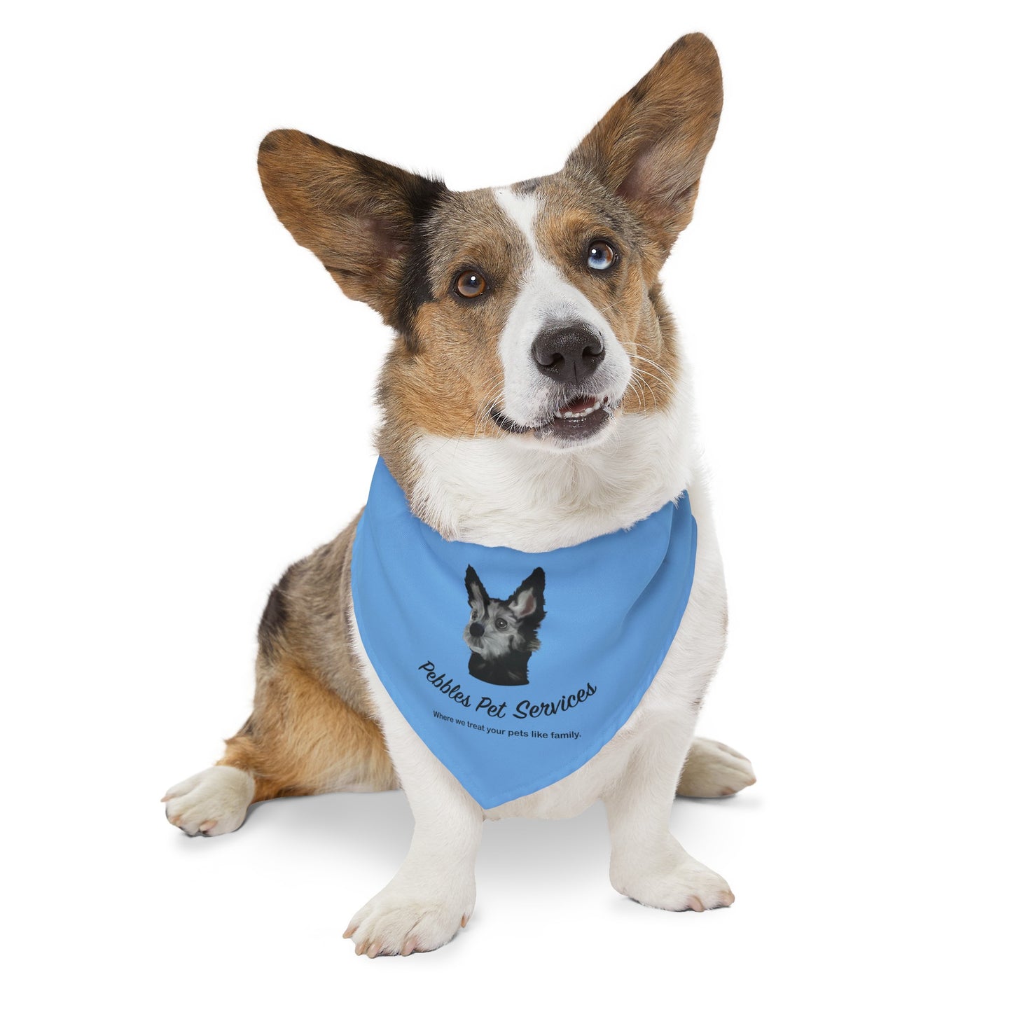 Pebbles Pet Services Bandana Collar- Custom Order