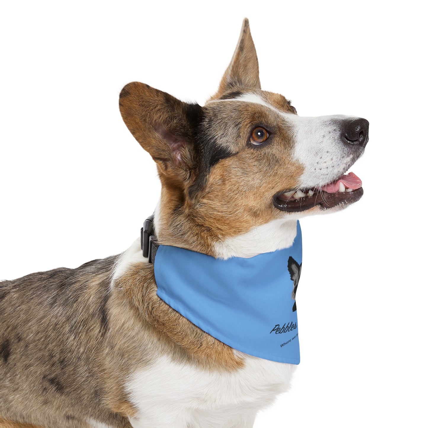 Pebbles Pet Services Bandana Collar- Custom Order